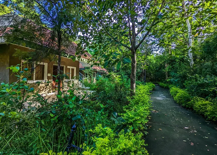 Syna Tiger Resort Bandhavgarh