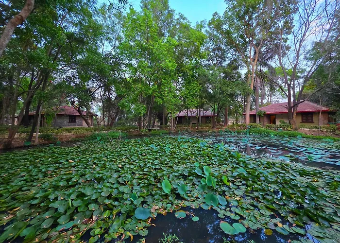 Tiger Trails Resort